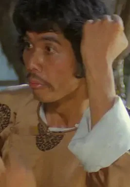 朱少华