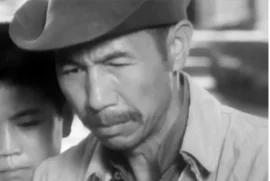 程森林
