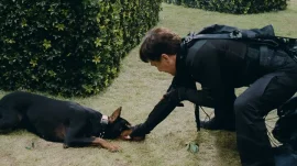 十二生肖预告片