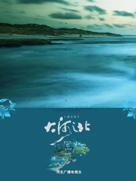 大河之北海报