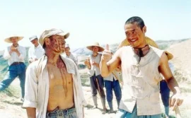 第28届大众电影百花奖获奖名单