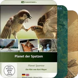 避雷！不值得看的纪录片，看了就是浪费时间