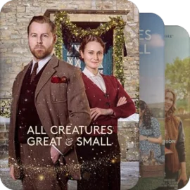 送你一朵向日葵