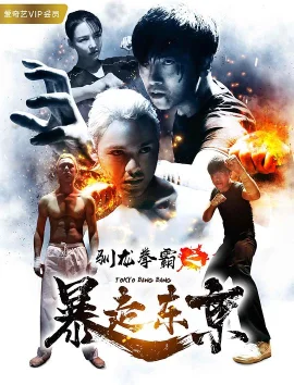驯龙拳霸之暴走东京海报