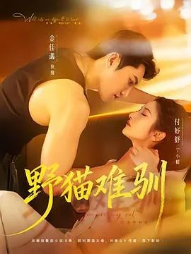 野猫难驯